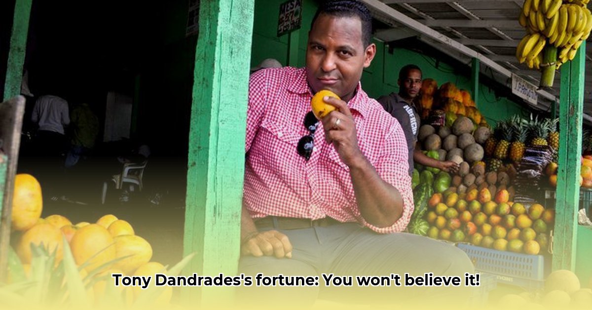 tony-dandrades-net-worth